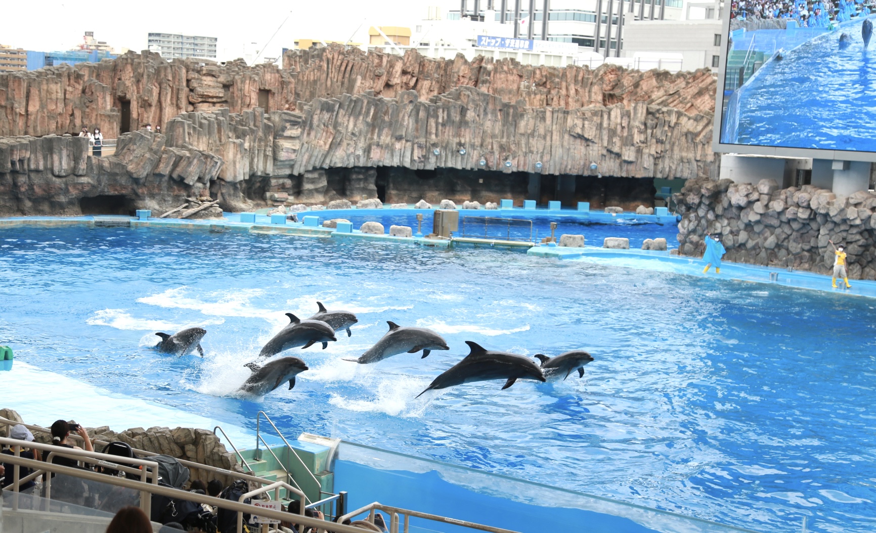 2歳児と名古屋港水族館に行きました 楽しみ方を紹介します